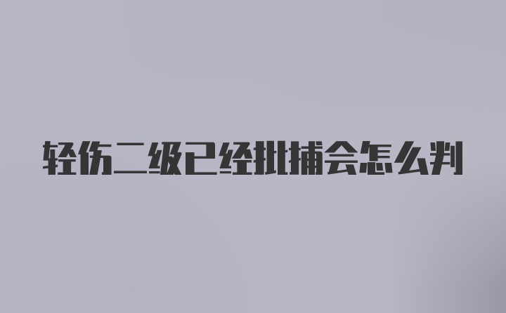 轻伤二级已经批捕会怎么判