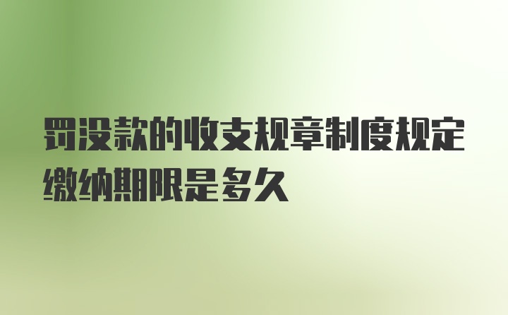 罚没款的收支规章制度规定缴纳期限是多久