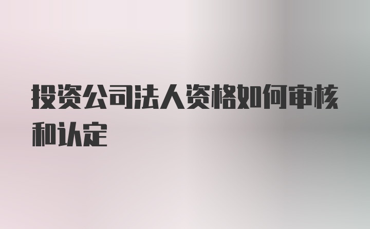 投资公司法人资格如何审核和认定