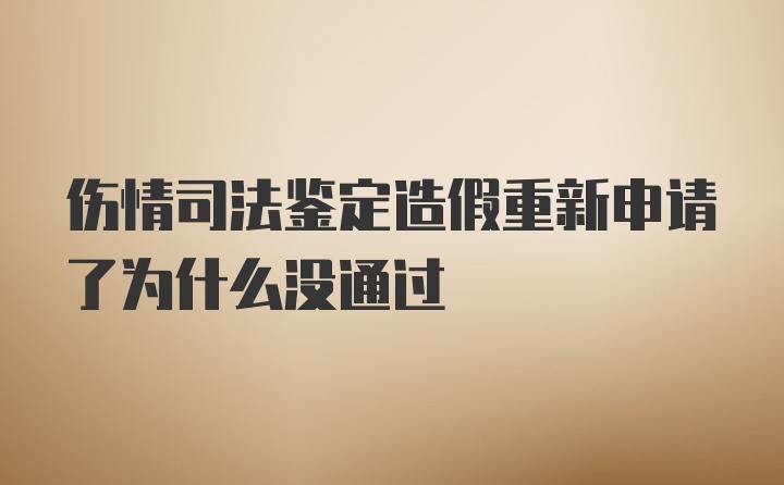 伤情司法鉴定造假重新申请了为什么没通过