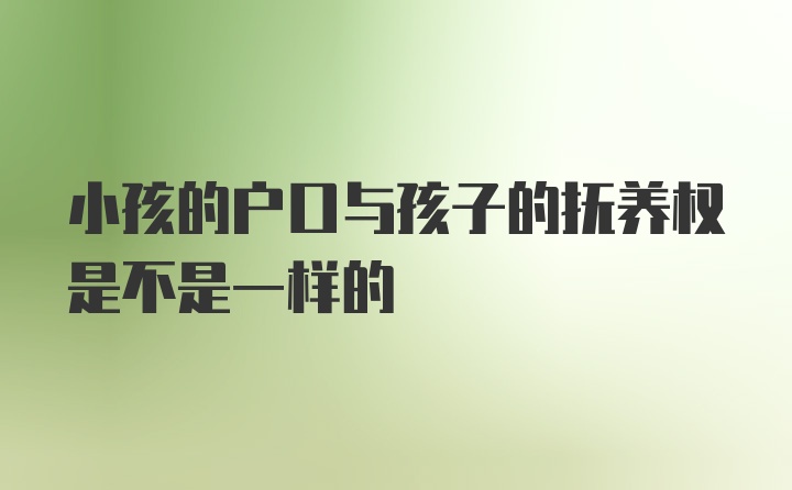 小孩的户口与孩子的抚养权是不是一样的