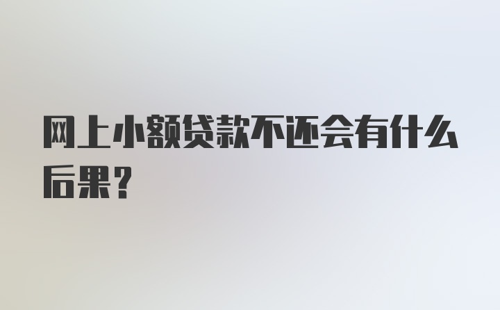 网上小额贷款不还会有什么后果？