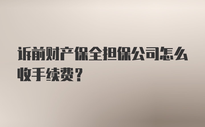 诉前财产保全担保公司怎么收手续费？