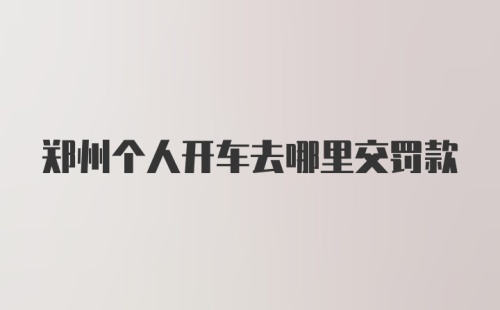 郑州个人开车去哪里交罚款