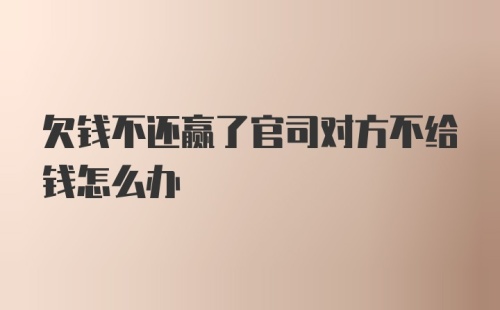 欠钱不还赢了官司对方不给钱怎么办