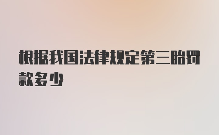 根据我国法律规定第三胎罚款多少