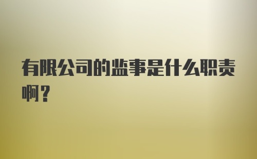 有限公司的监事是什么职责啊?