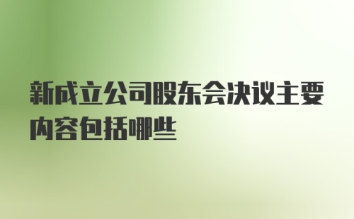 新成立公司股东会决议主要内容包括哪些