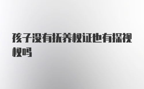 孩子没有抚养权证也有探视权吗