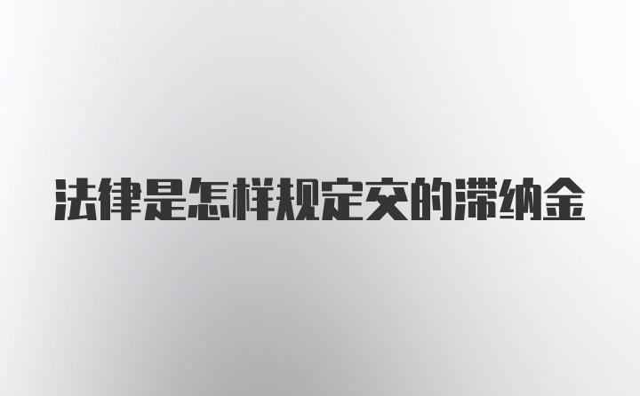 法律是怎样规定交的滞纳金