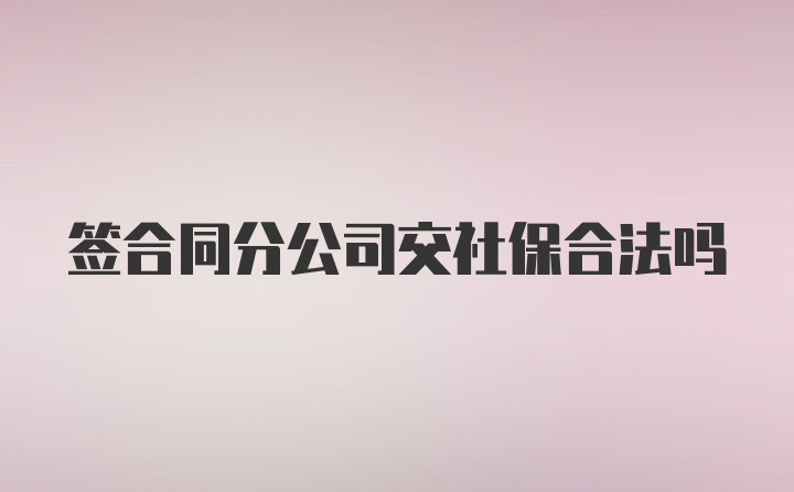 签合同分公司交社保合法吗