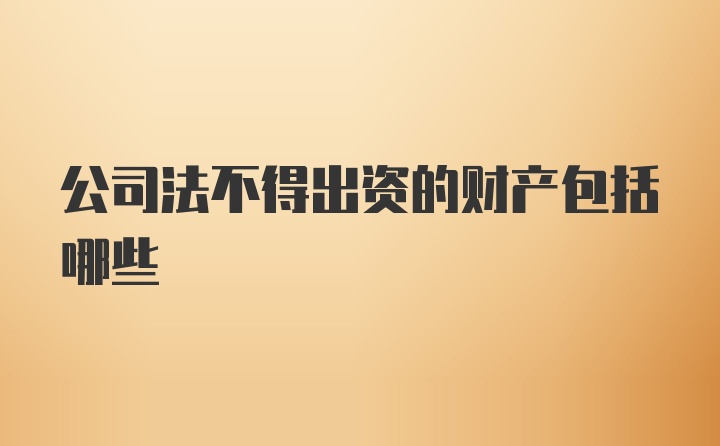 公司法不得出资的财产包括哪些