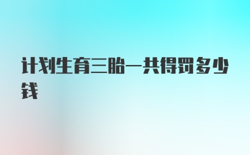 计划生育三胎一共得罚多少钱