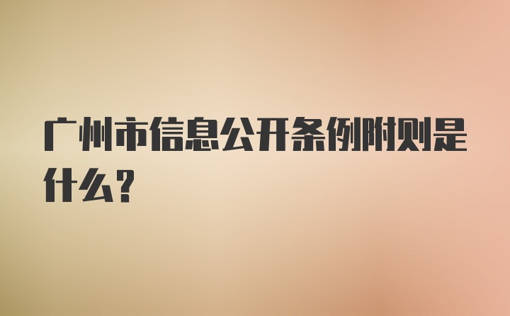 广州市信息公开条例附则是什么？