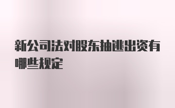 新公司法对股东抽逃出资有哪些规定