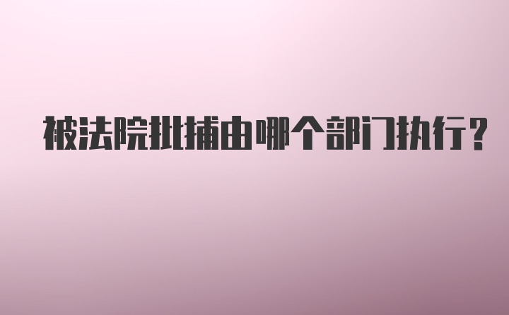 被法院批捕由哪个部门执行？