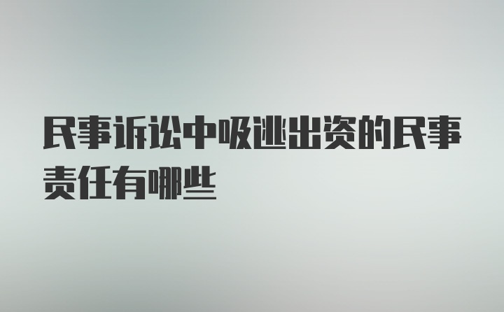 民事诉讼中吸逃出资的民事责任有哪些