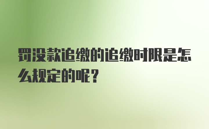 罚没款追缴的追缴时限是怎么规定的呢？