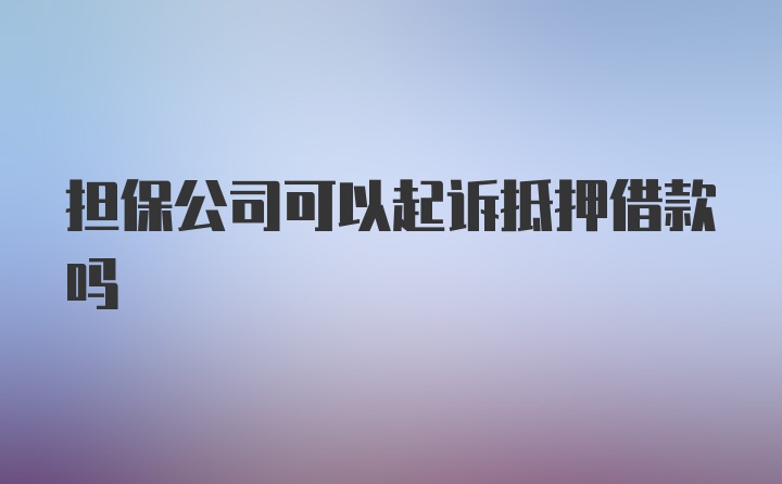 担保公司可以起诉抵押借款吗