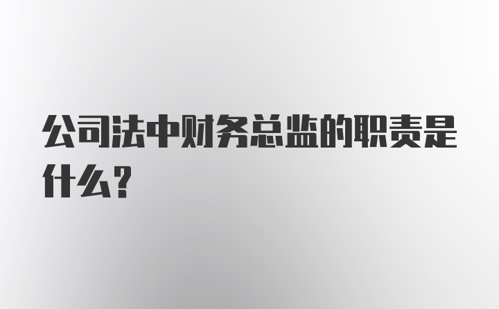 公司法中财务总监的职责是什么？