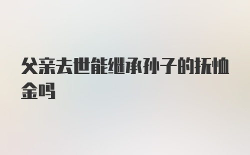 父亲去世能继承孙子的抚恤金吗