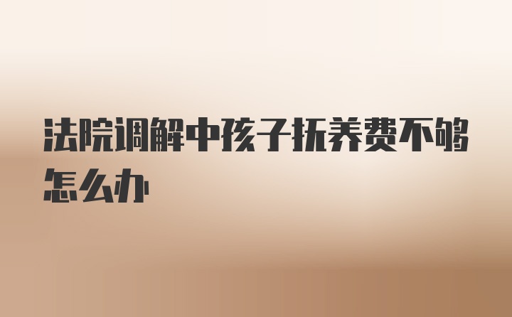 法院调解中孩子抚养费不够怎么办