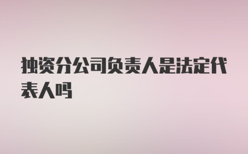 独资分公司负责人是法定代表人吗