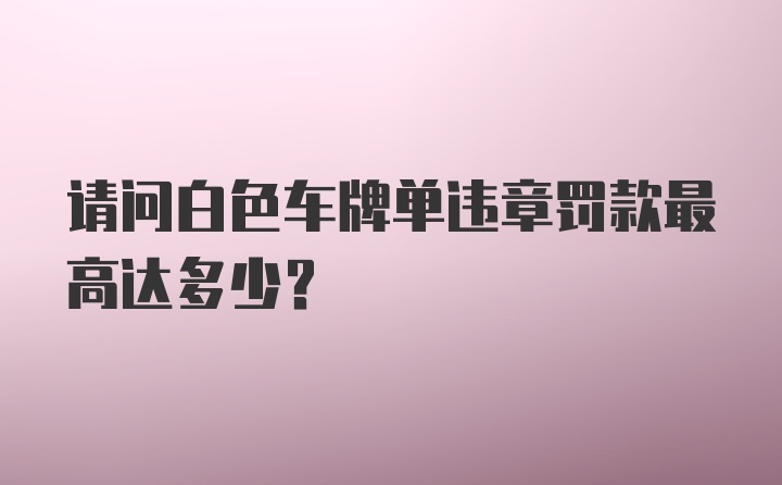 请问白色车牌单违章罚款最高达多少？