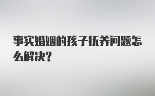 事实婚姻的孩子抚养问题怎么解决？