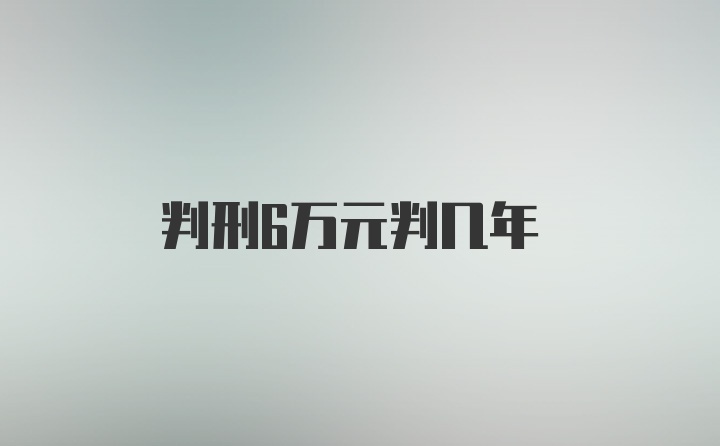 判刑6万元判几年