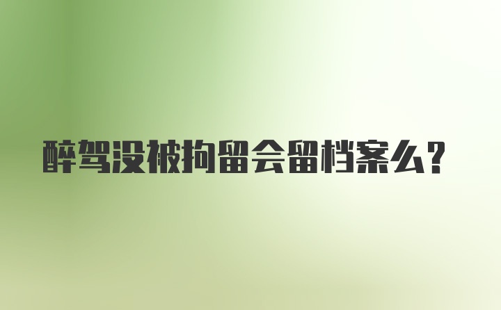 醉驾没被拘留会留档案么?