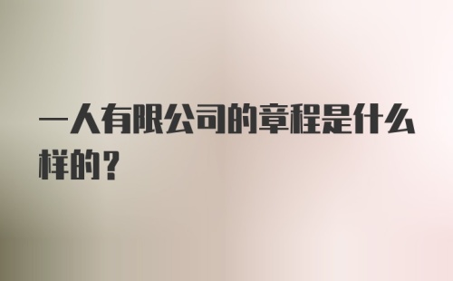 一人有限公司的章程是什么样的？