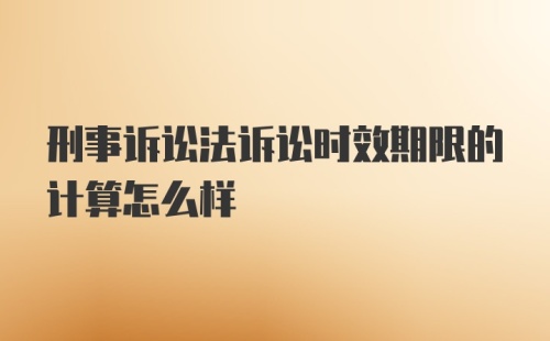 刑事诉讼法诉讼时效期限的计算怎么样