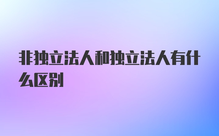 非独立法人和独立法人有什么区别