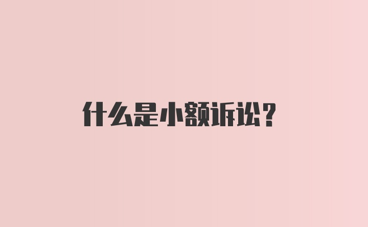 什么是小额诉讼？