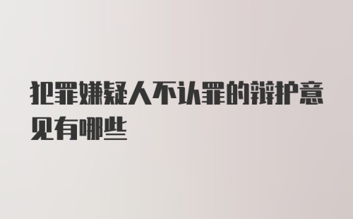 犯罪嫌疑人不认罪的辩护意见有哪些