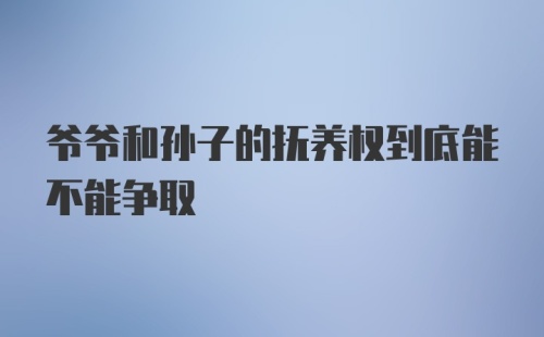 爷爷和孙子的抚养权到底能不能争取