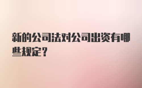 新的公司法对公司出资有哪些规定？