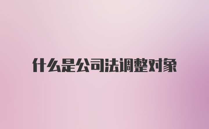 什么是公司法调整对象