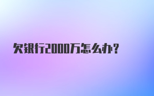 欠银行2000万怎么办?