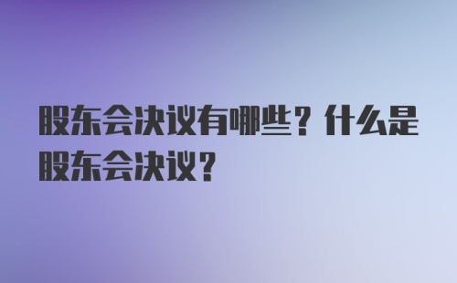 股东会决议有哪些？什么是股东会决议？