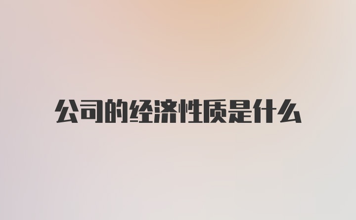 公司的经济性质是什么