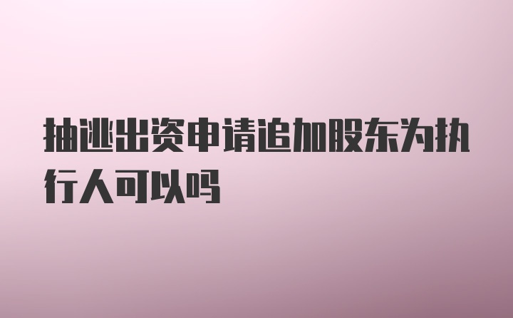 抽逃出资申请追加股东为执行人可以吗