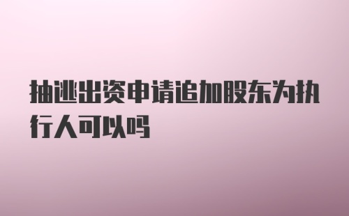 抽逃出资申请追加股东为执行人可以吗