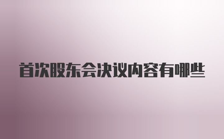 首次股东会决议内容有哪些