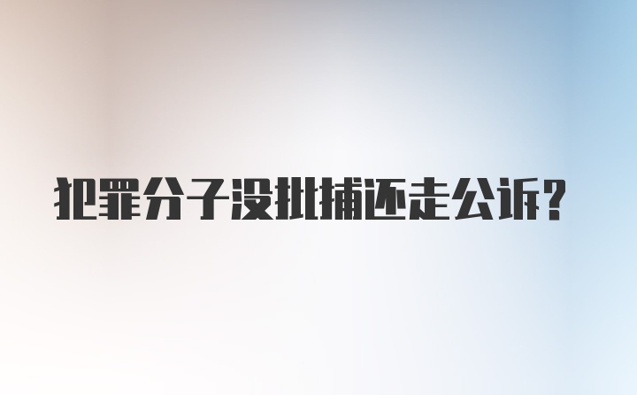 犯罪分子没批捕还走公诉？