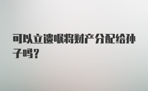 可以立遗嘱将财产分配给孙子吗?