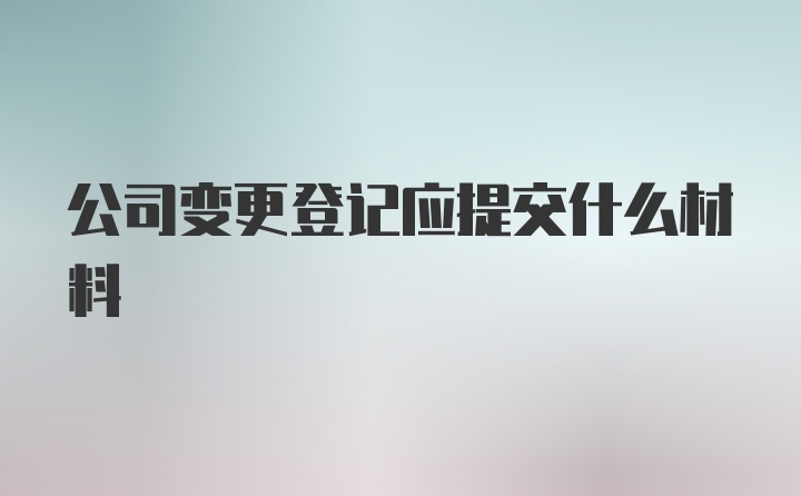 公司变更登记应提交什么材料