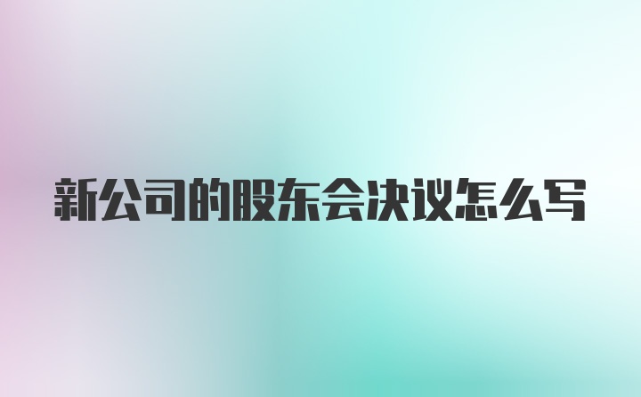 新公司的股东会决议怎么写