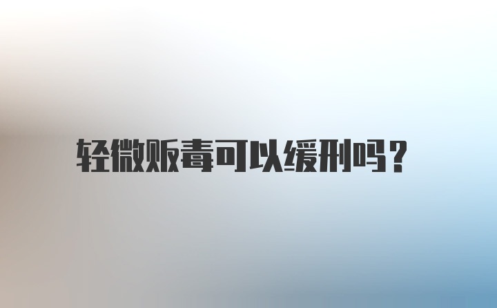 轻微贩毒可以缓刑吗？